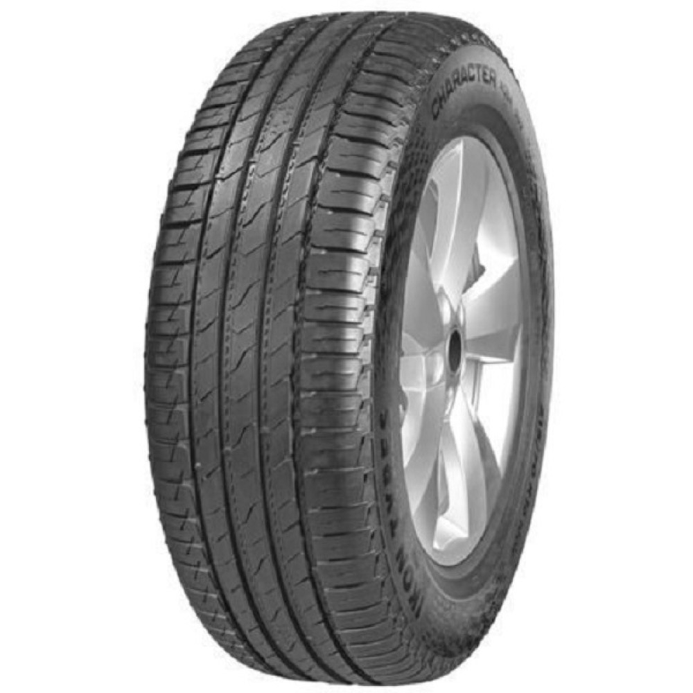 Легковая шина Ikon (Nokian Tyres) Character Aqua SUV (Nordman S2 SUV) 215/70 R16 100H