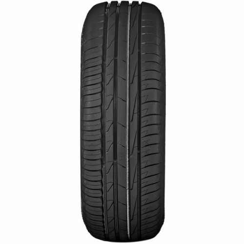Легковая шина Ikon (Nokian Tyres) Autograph Eco 3 195/55 R16 91H