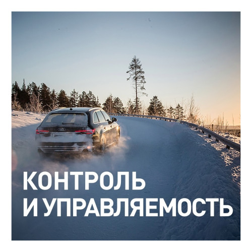 Легковая шина Bridgestone Blizzak DMV3 275/65 R17 115R