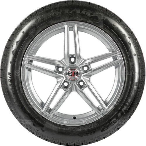 Centara Winter Rx626 265/55 R19 113T