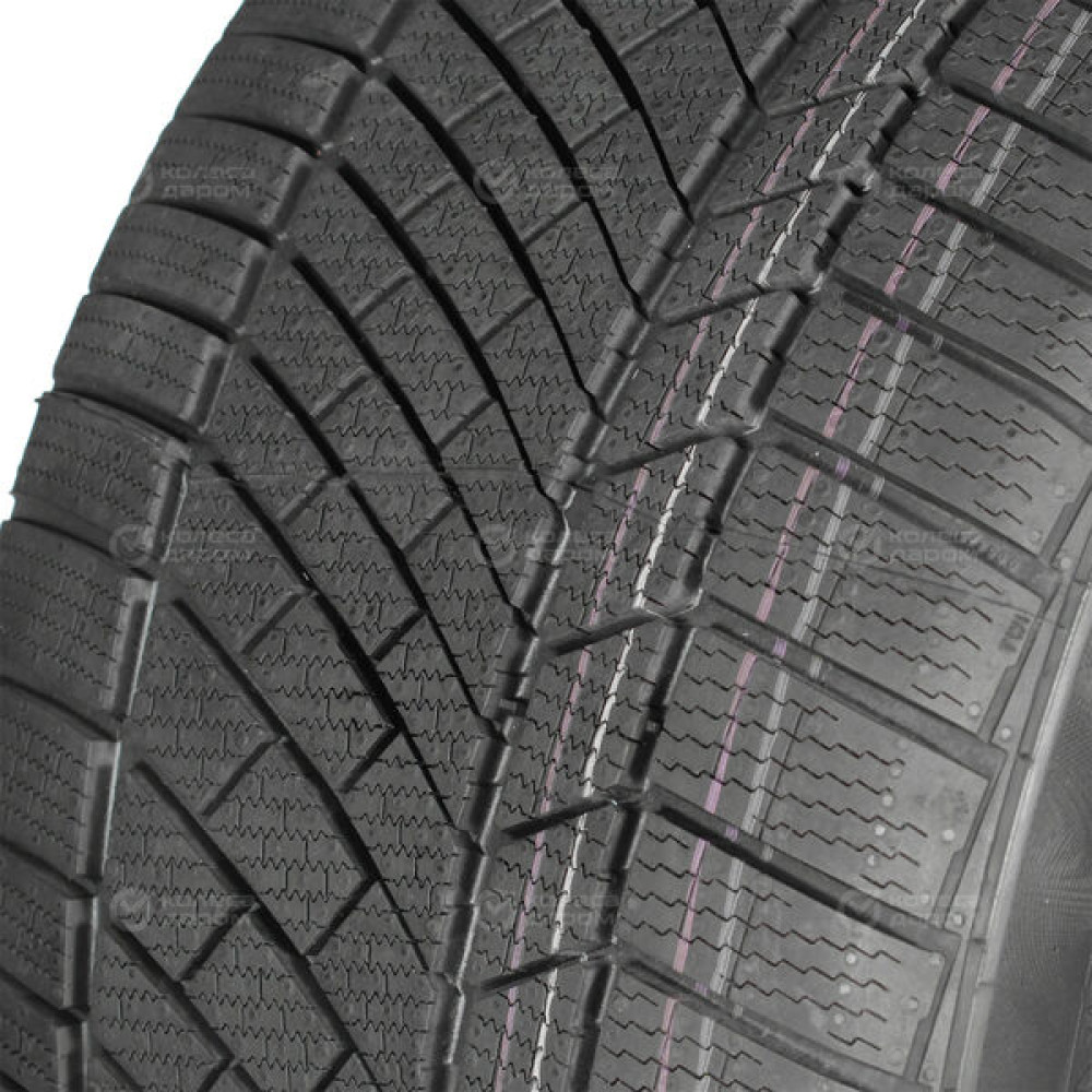 Continental Conti Winter Contact TS 830 P 285/30 R19 98V