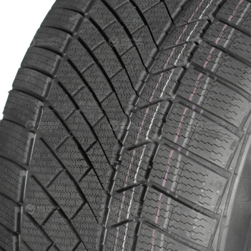 Continental Conti Winter Contact TS 830 P 285/30 R19 98V