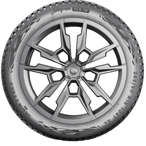 Легковая шина Ikon (Nokian Tyres) Autograph Ice 10 225/55 R17 101T