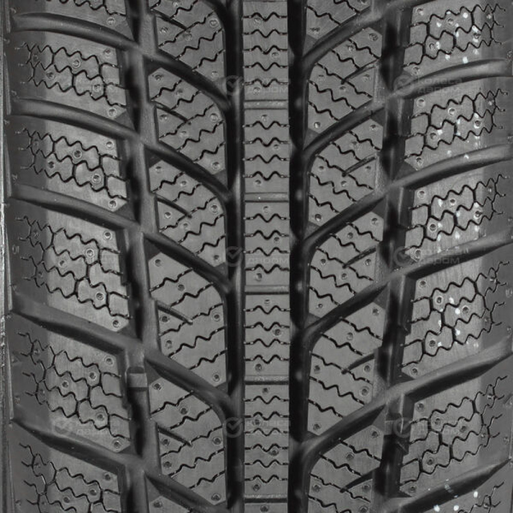 Evergreen EW62 175/70 R14 88T